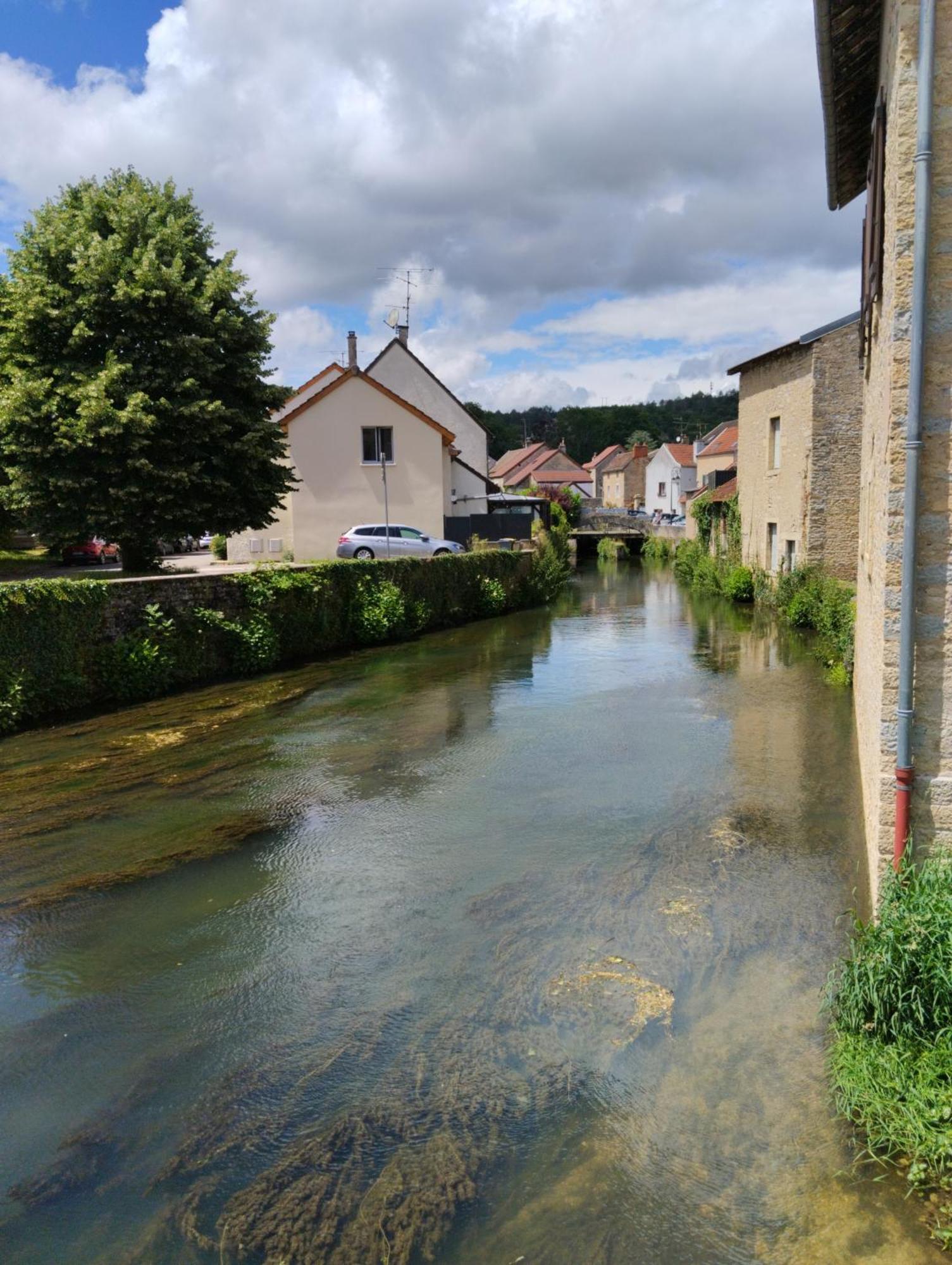 Maison Cosy Calme Central Bus Lac Kir Plombieres-les-Dijon Dış mekan fotoğraf